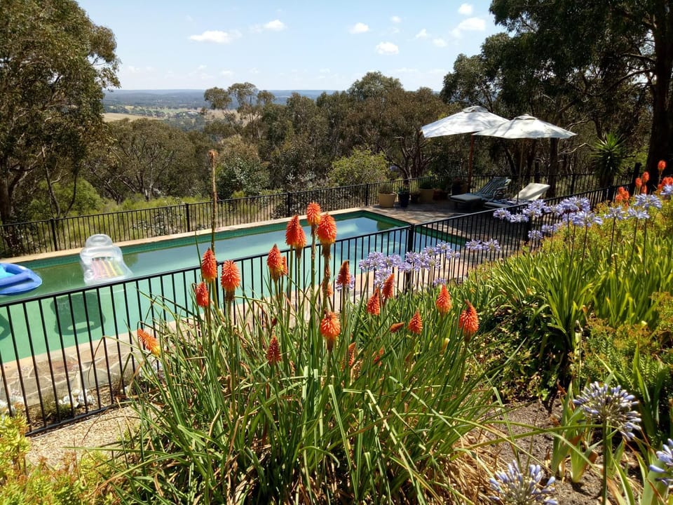 Day, Natural landscape, Garden, Garden view, Pool view, Swimming pool, Swimming pool, sunbed