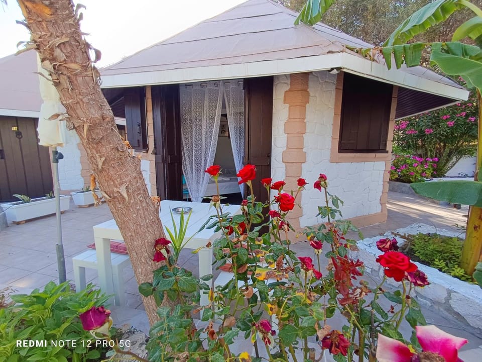 Property building, Patio, Spring, Day, Garden, Garden view
