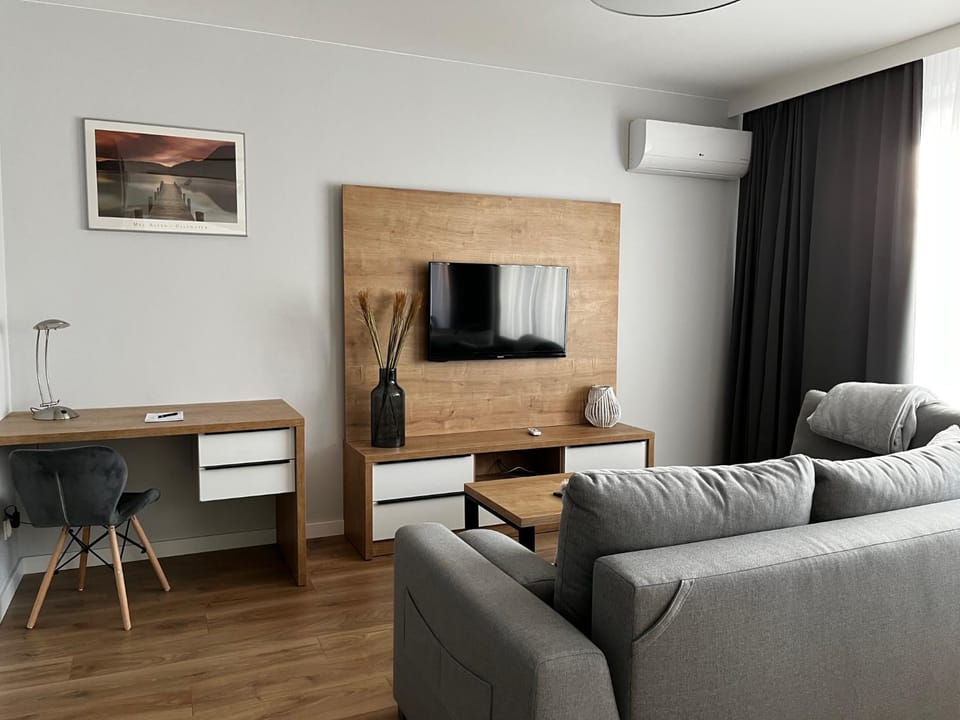 Communal lounge/ TV room, TV and multimedia, Living room, Seating area, Evening entertainment, air conditioner