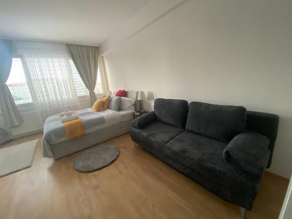 City Center Apartments am Schwedenplatz Apartment in Vienna