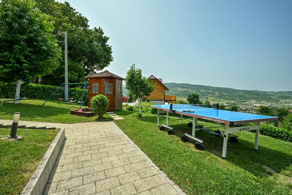 Table tennis