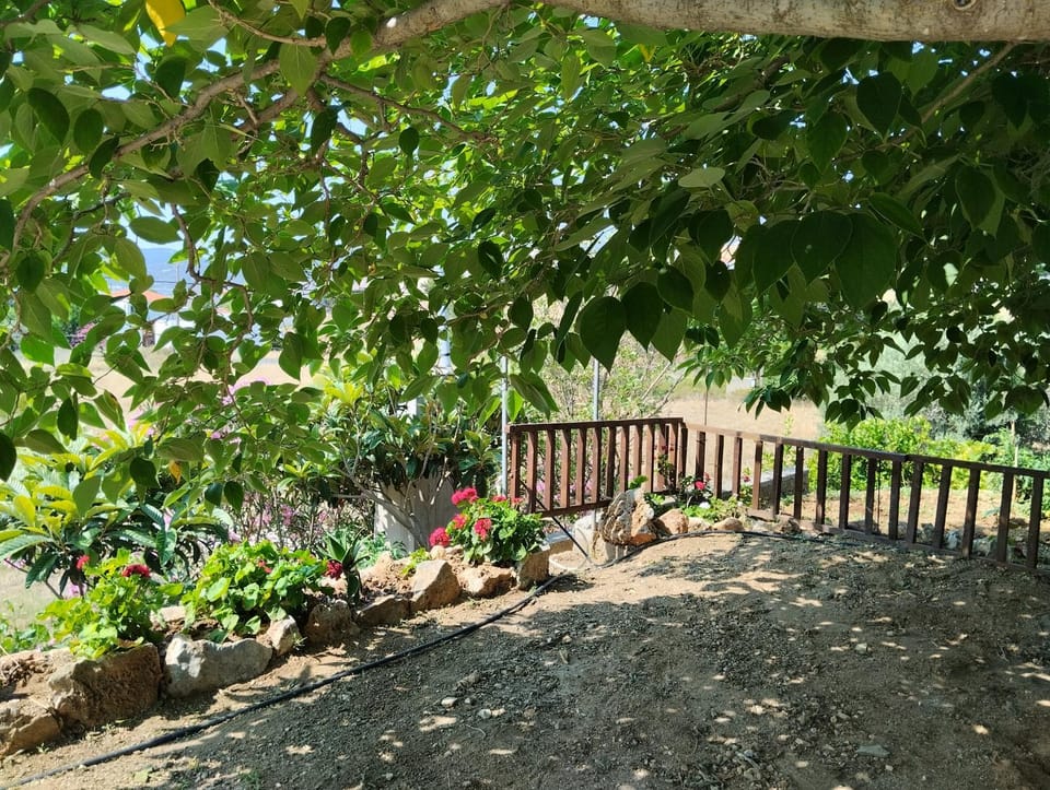 el castle Apartment in Euboea