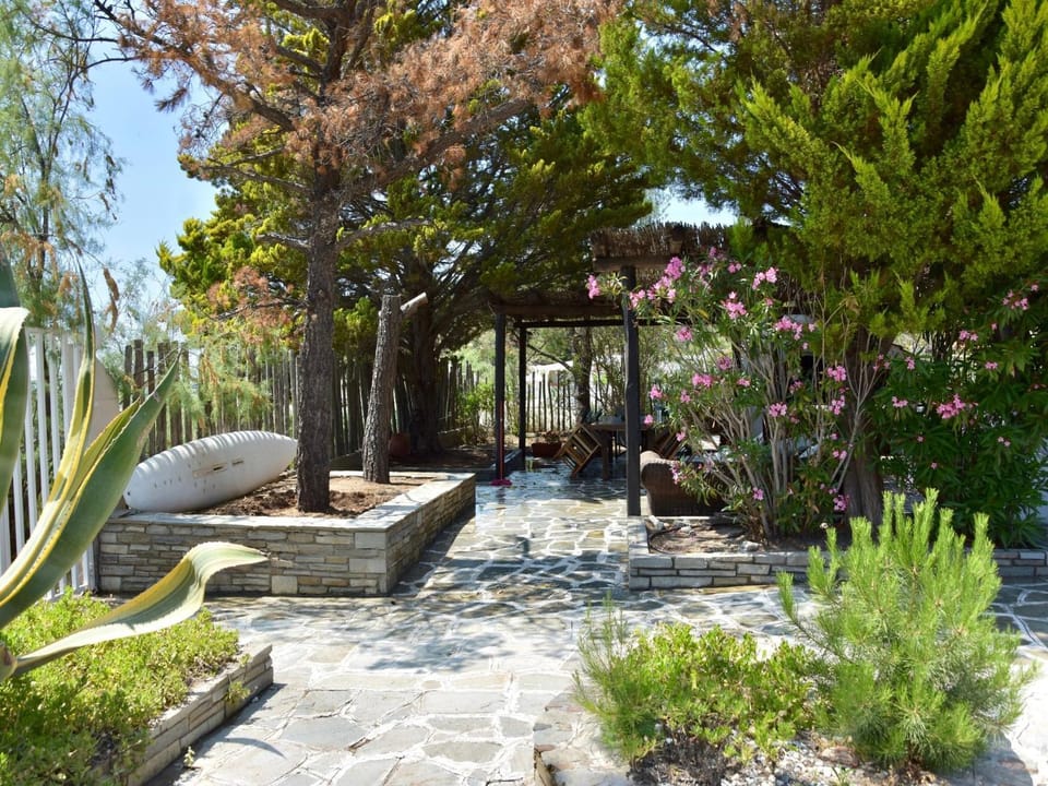 Patio, Garden