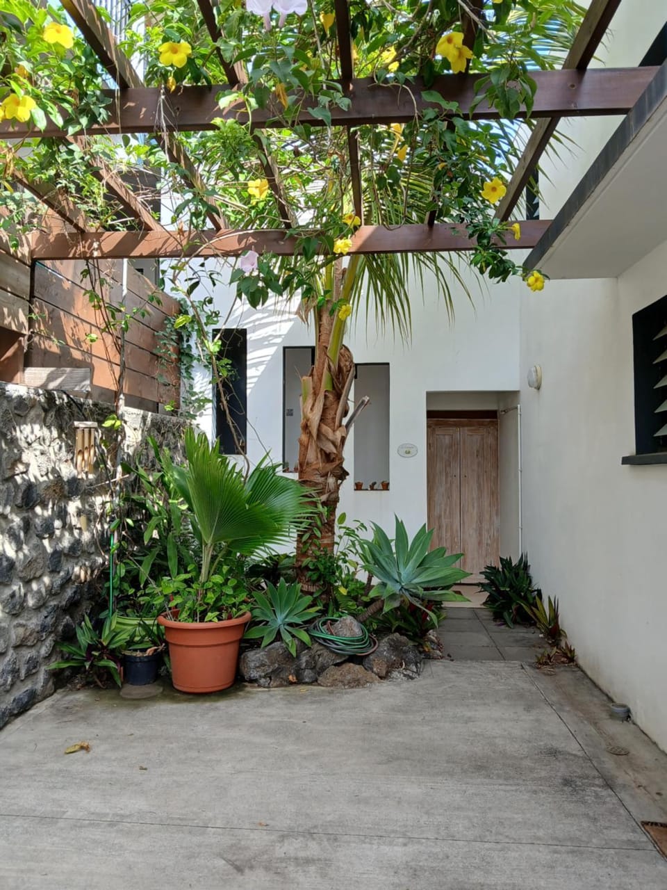 Garden view