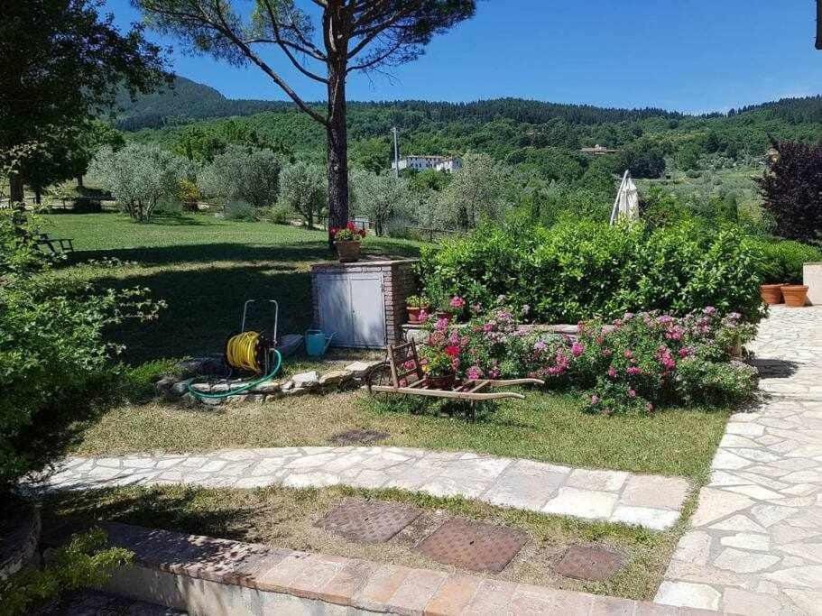 Villa Casaglia 3apartment With Shared Pool Apartment in Tuscany