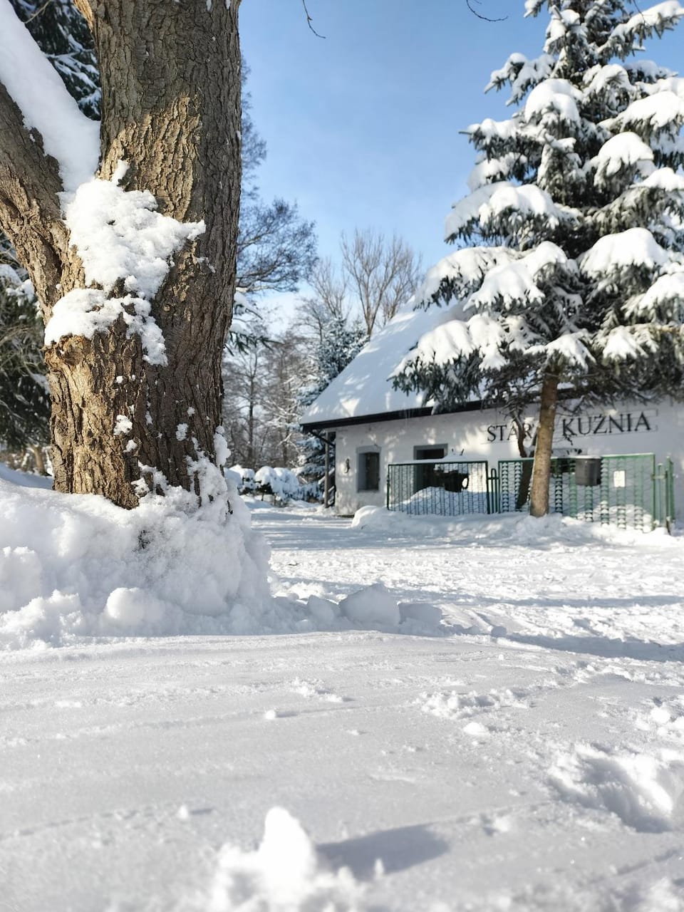 Stara Kuźnia Vacation rental in Lower Silesian Voivodeship