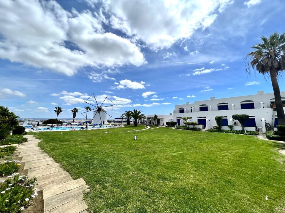 Patio, Garden, Garden view