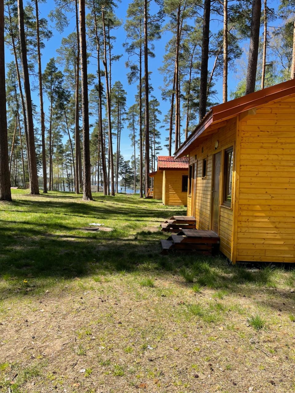 Domki i Pole Namiotowe Pod Sosnami House in Poland