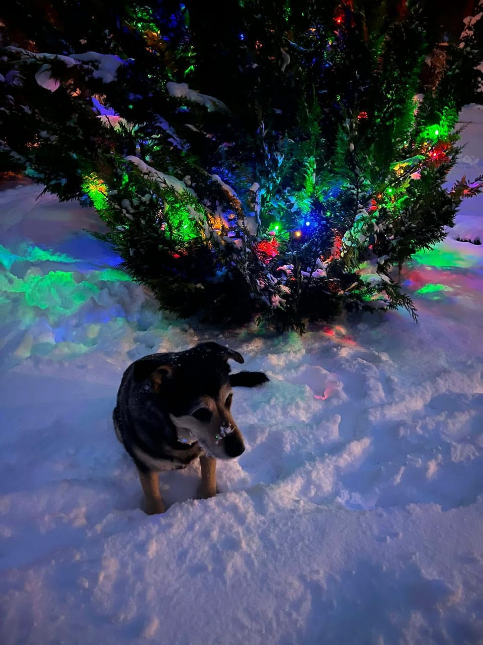 Dom Marzeń z jacuzzi pod gwiazdami Villa in Pomeranian Voivodeship