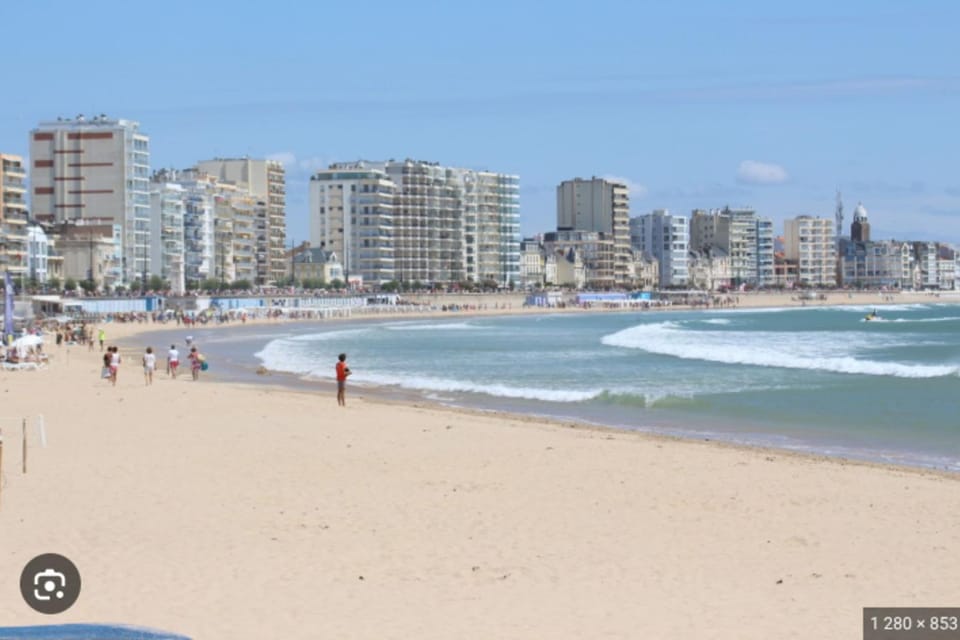 42m overlooking the pine forest and near the sea Apartment in Château-d'Olonne