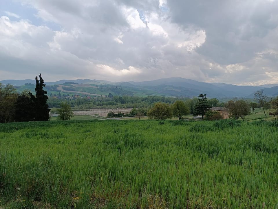 Natural landscape