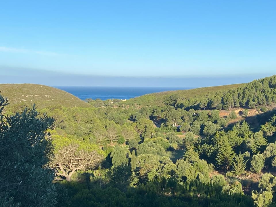 View (from property/room)