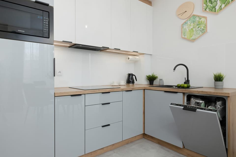 Kitchen or kitchenette, Decorative detail, dishwasher, hair dresser, minibar, stove