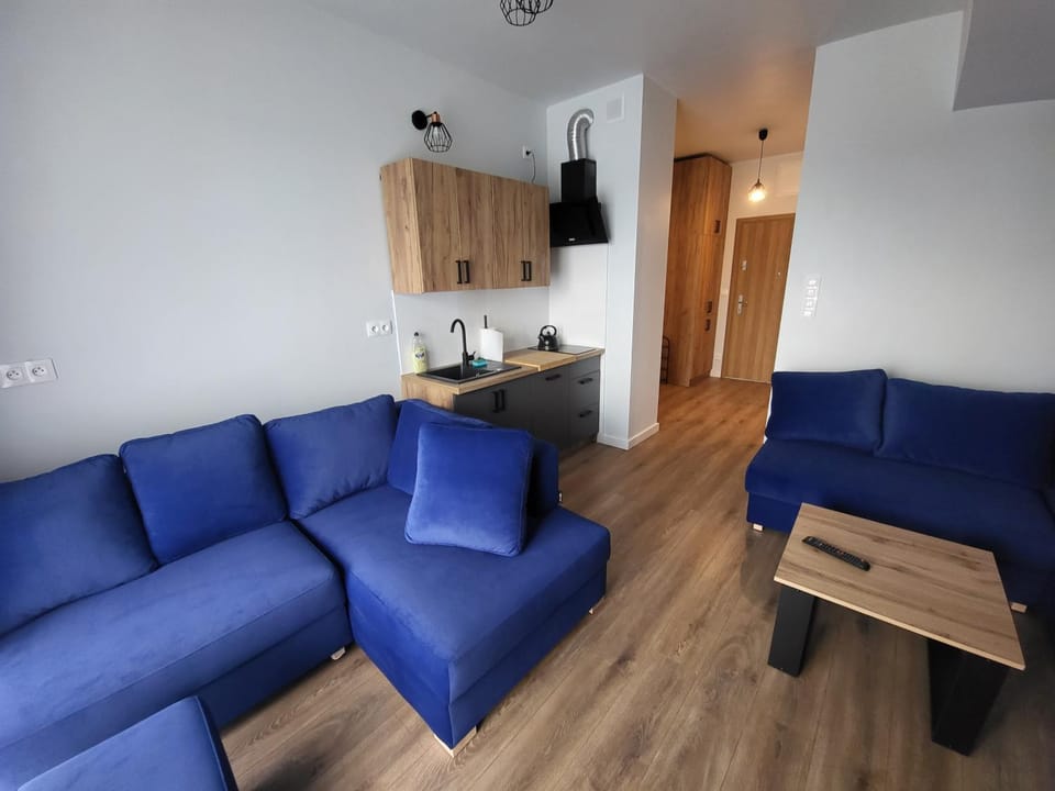 Nest Niebieski Apartment in Lesser Poland Voivodeship