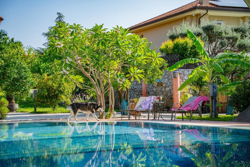 Property building, Spring, Day, Natural landscape, Garden, Garden view, Pool view, Swimming pool, sunbed