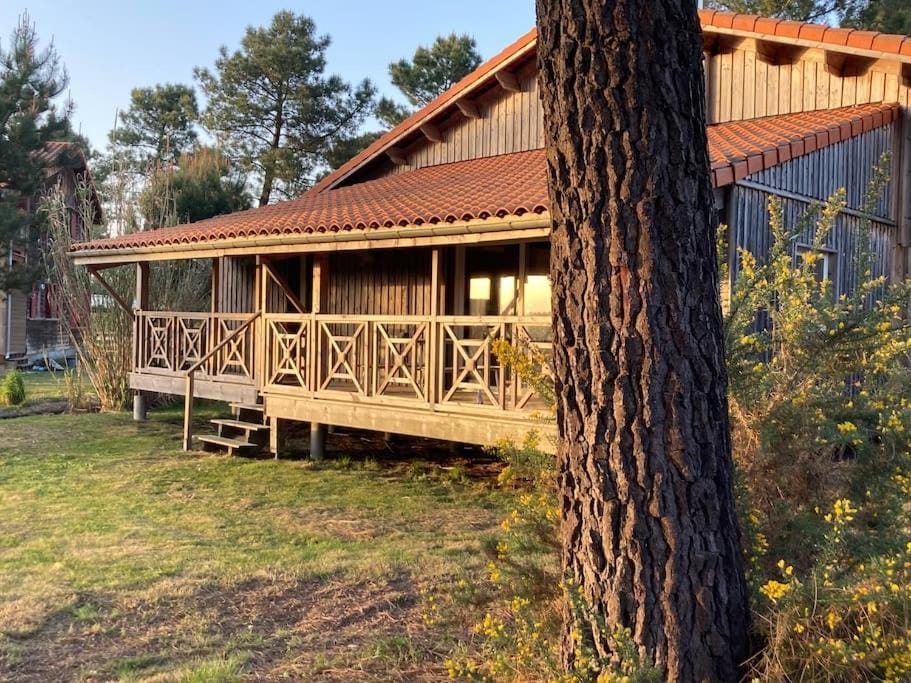 Le Gîte de l'Aérogrange Chalet in Parentis-en-Born