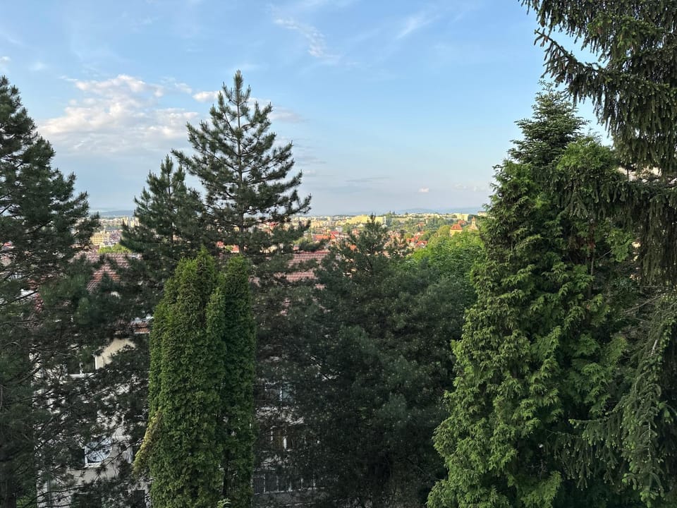 City view