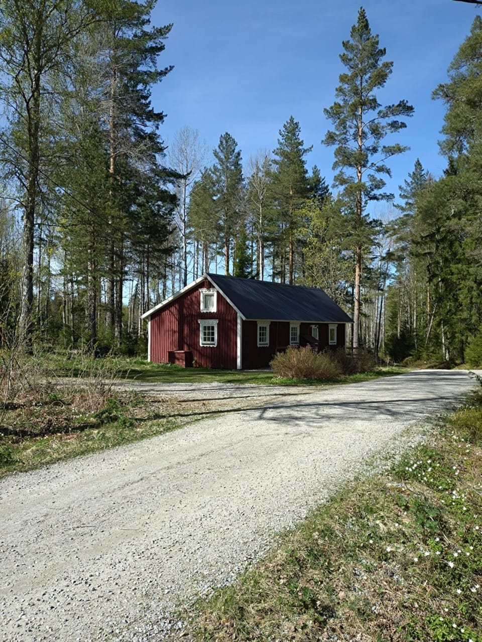 Garden, Area and facilities