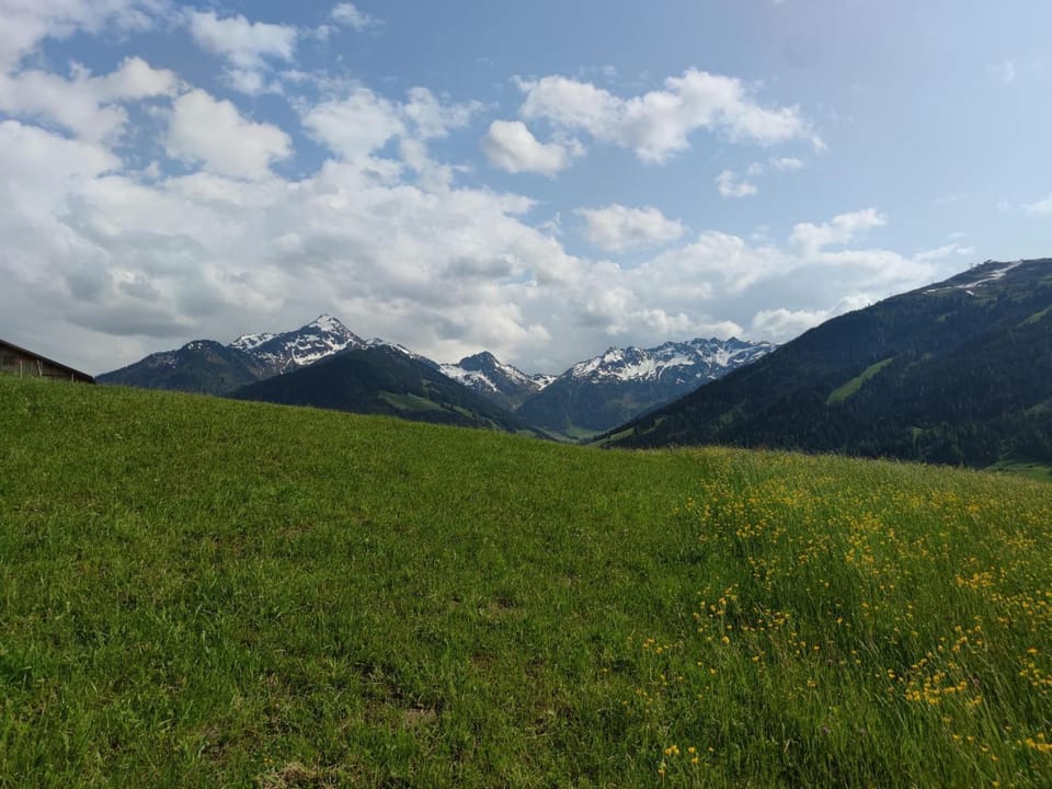 Summer, View (from property/room)
