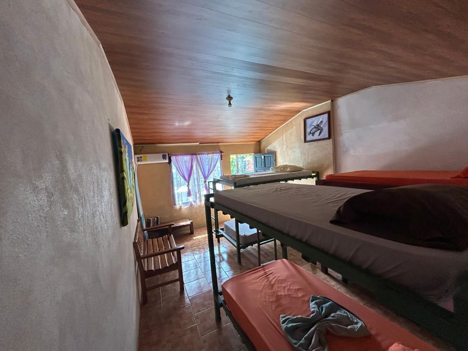 OSA SURF House Bed and Breakfast in Puntarenas Province