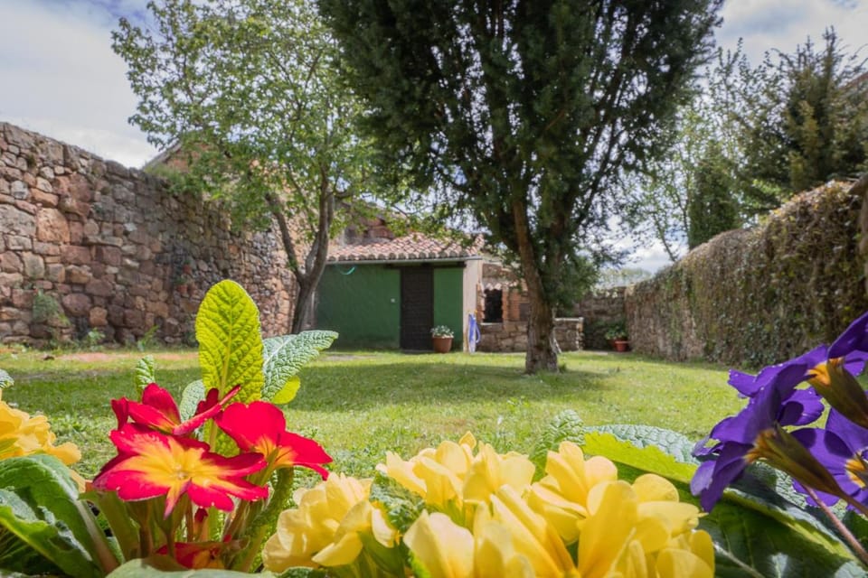 Spring, Garden