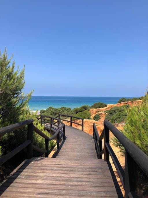 VILLA ANDEMAR House in Chiclana de la Frontera