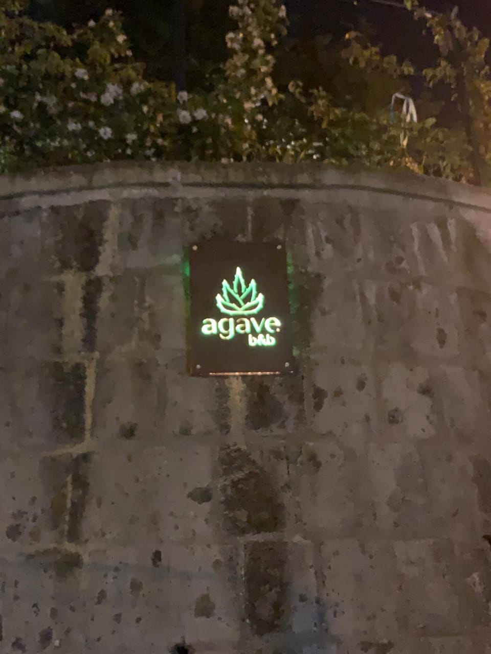 Night, Logo/Certificate/Sign, Street view