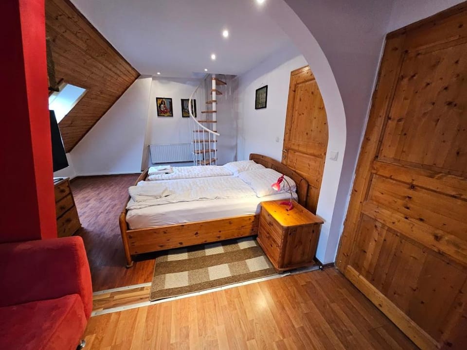 Pension DonauBlick Grein 2 in Stifterstrasse 19A Apartment in Upper Austria