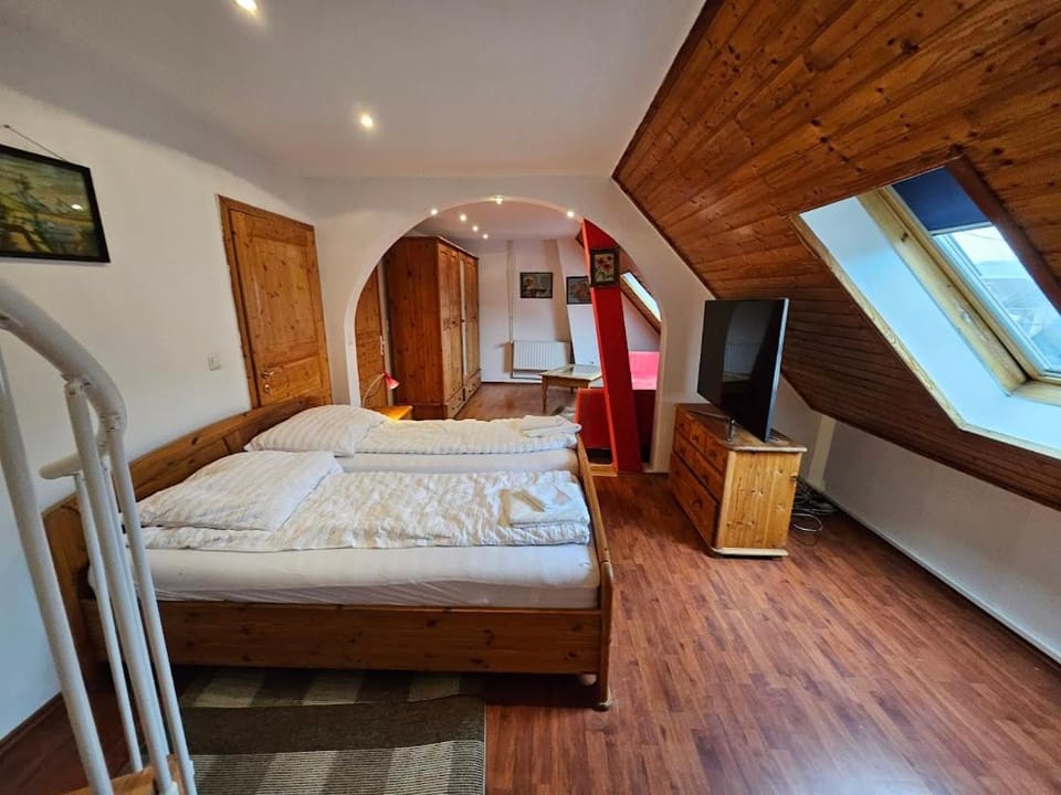 Pension DonauBlick Grein 2 in Stifterstrasse 19A Apartment in Upper Austria