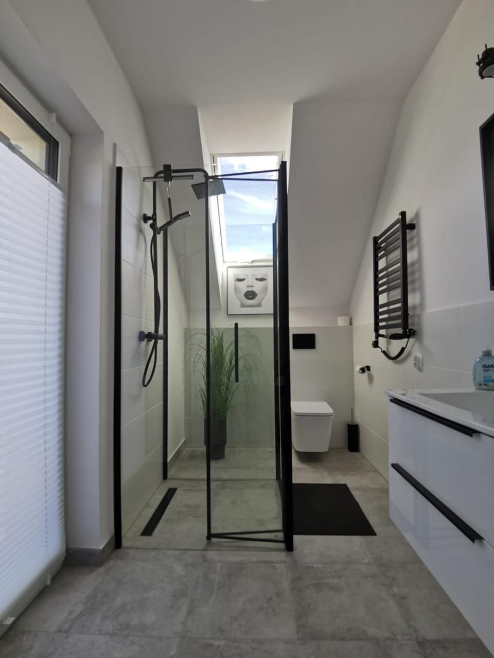 Shower, Toilet, Bathroom