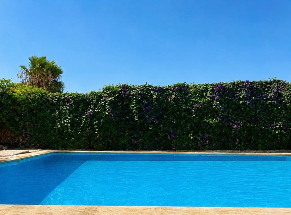 Day, Pool view, Swimming pool