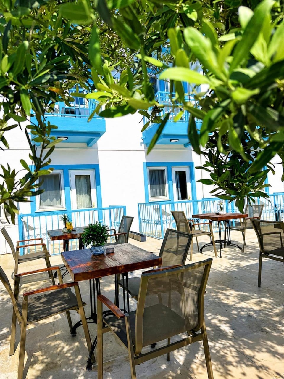Property building, Day, Garden, Banquet/Function facilities, Dining area, Garden view