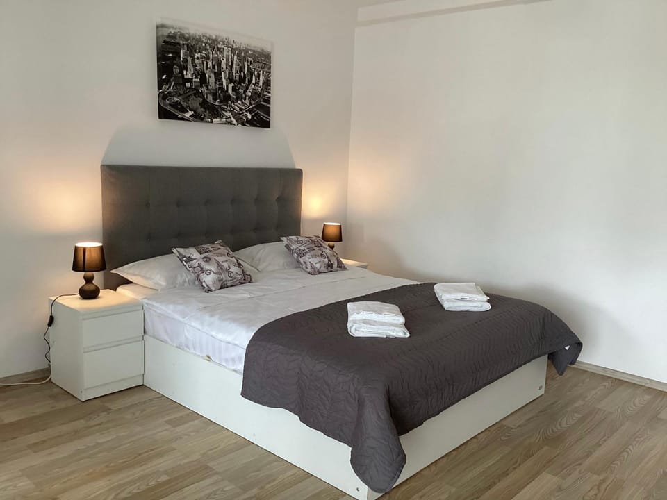 Bucharest Airport Henri Coanda & Therme-SELF CHECK-IN Apartment in Romania
