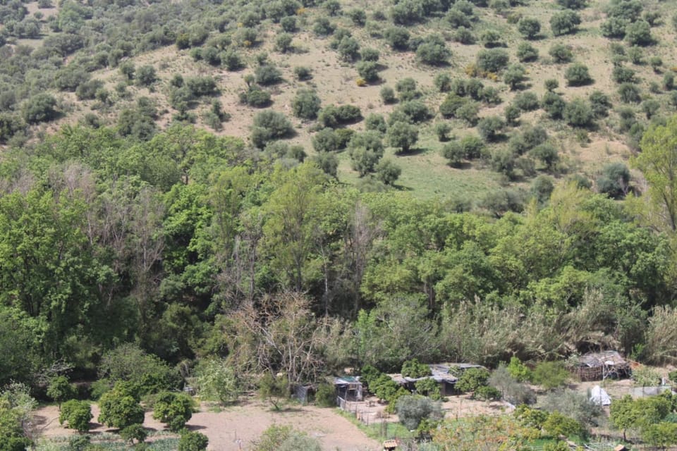 View (from property/room)