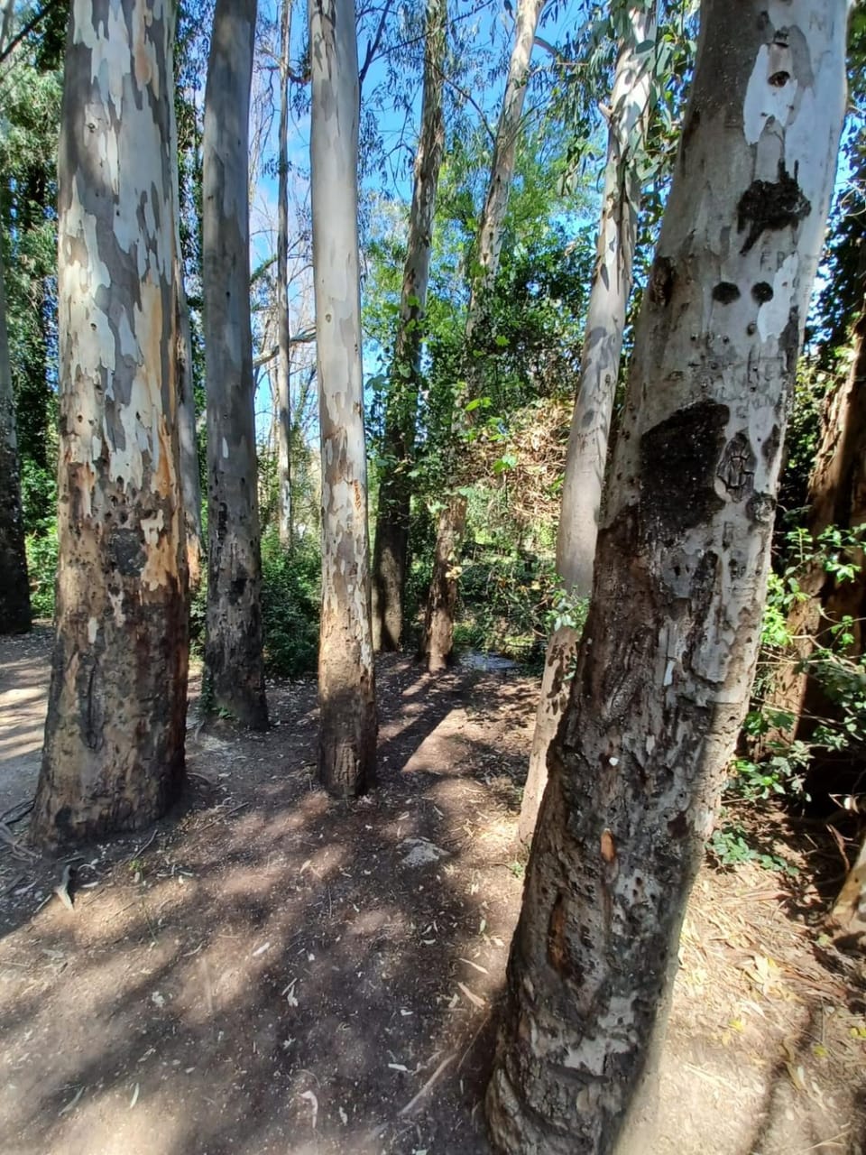Natural landscape