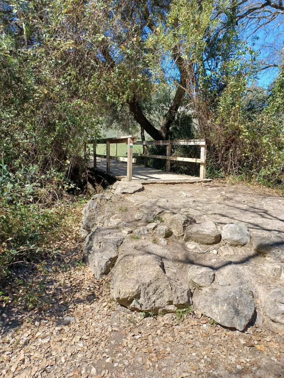 Natural landscape