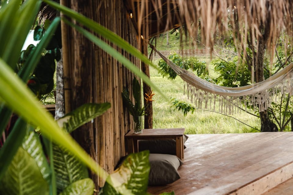 Patio, Natural landscape, View (from property/room), Balcony/Terrace