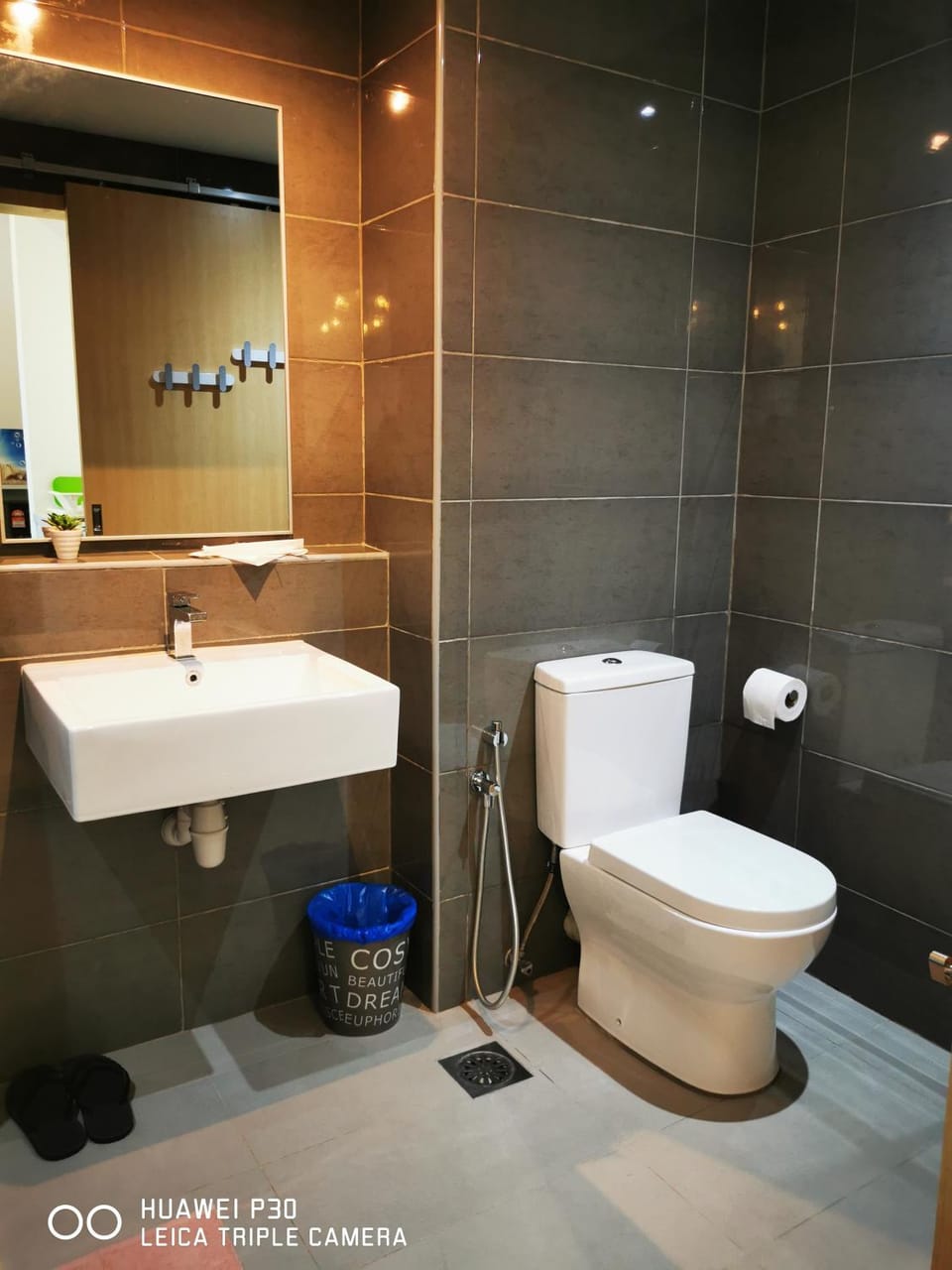 Toilet, Bathroom