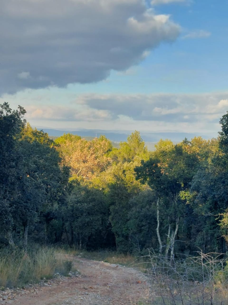 Natural landscape
