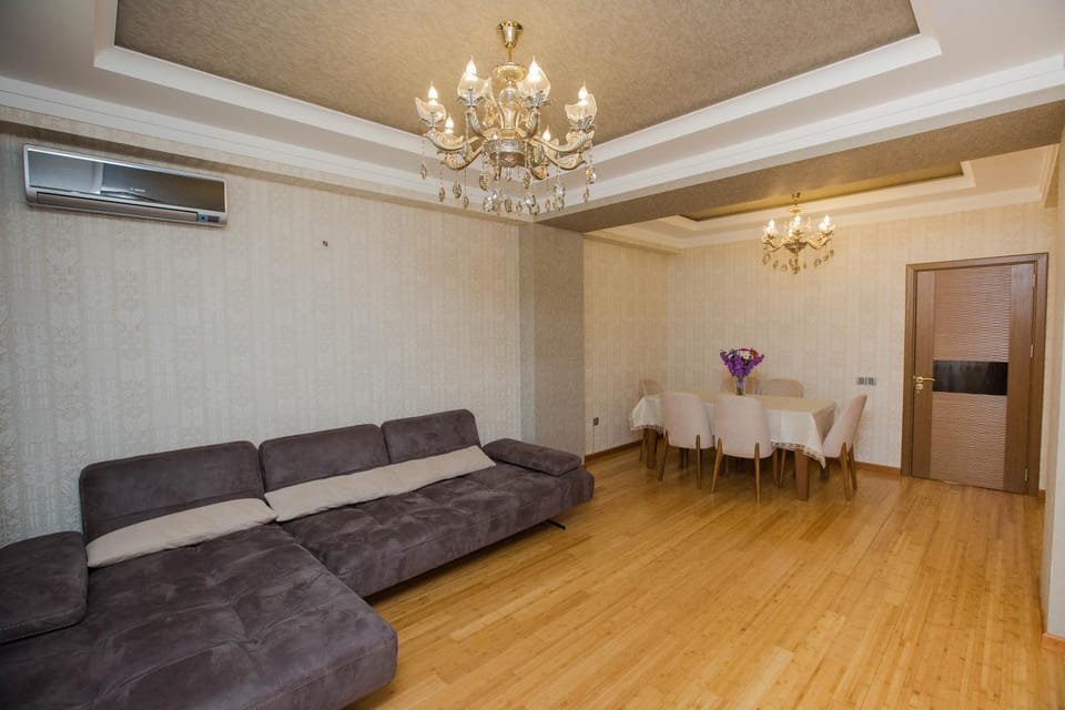 Living room, Dining area, air conditioner