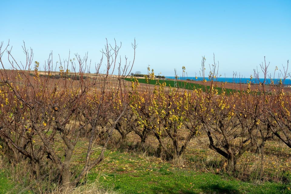 Natural landscape, Sea view