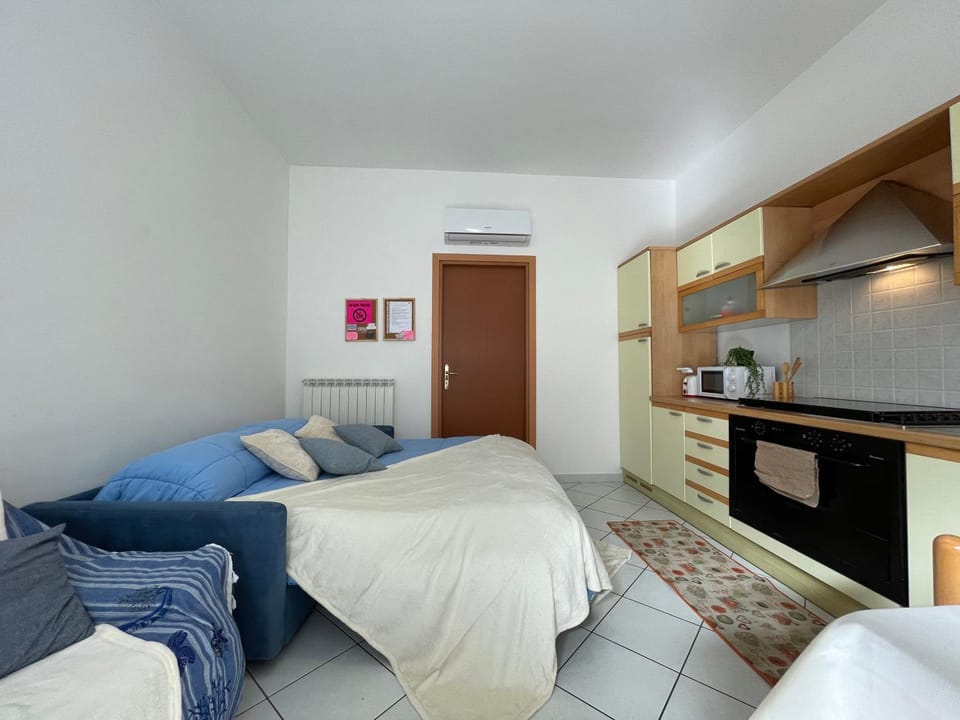 Bed, TV and multimedia, Kitchen or kitchenette, Living room, Photo of the whole room, Seating area