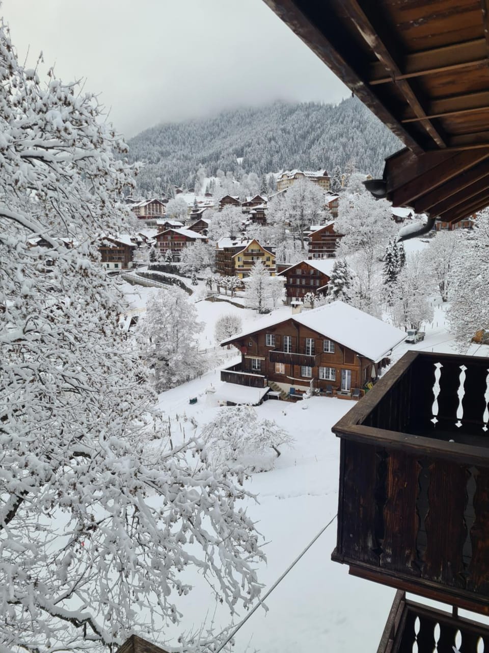 Winter, Mountain view