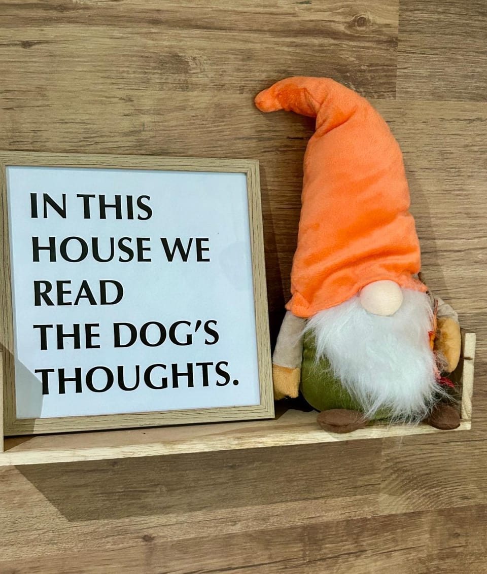 pet friendly, pet friendly