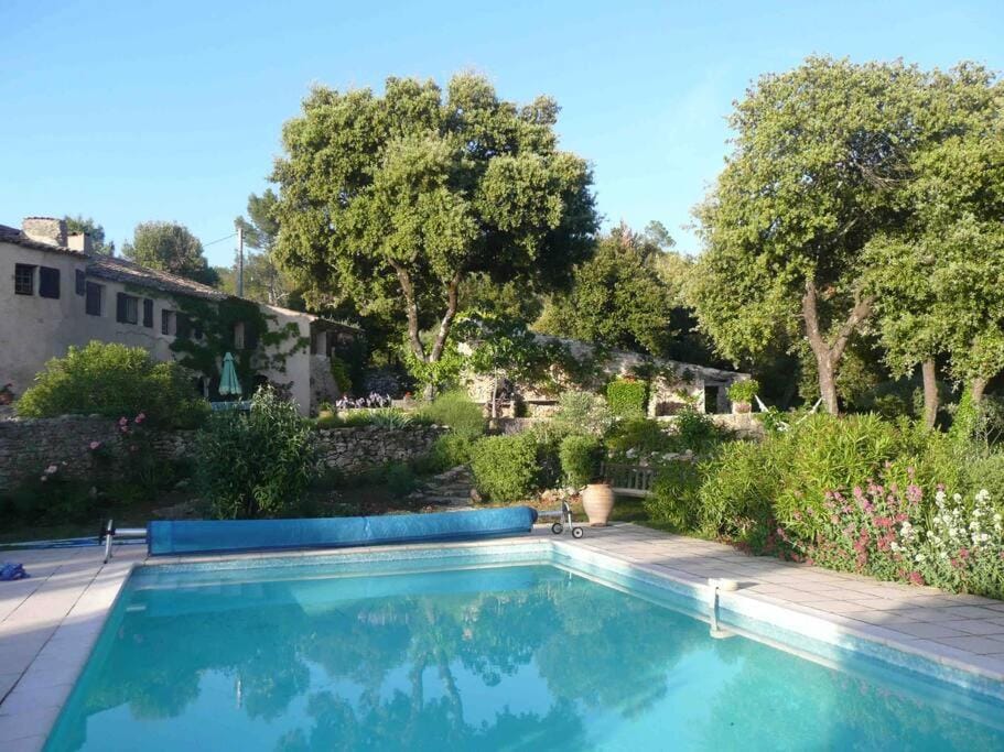 Garden, Pool view, Swimming pool