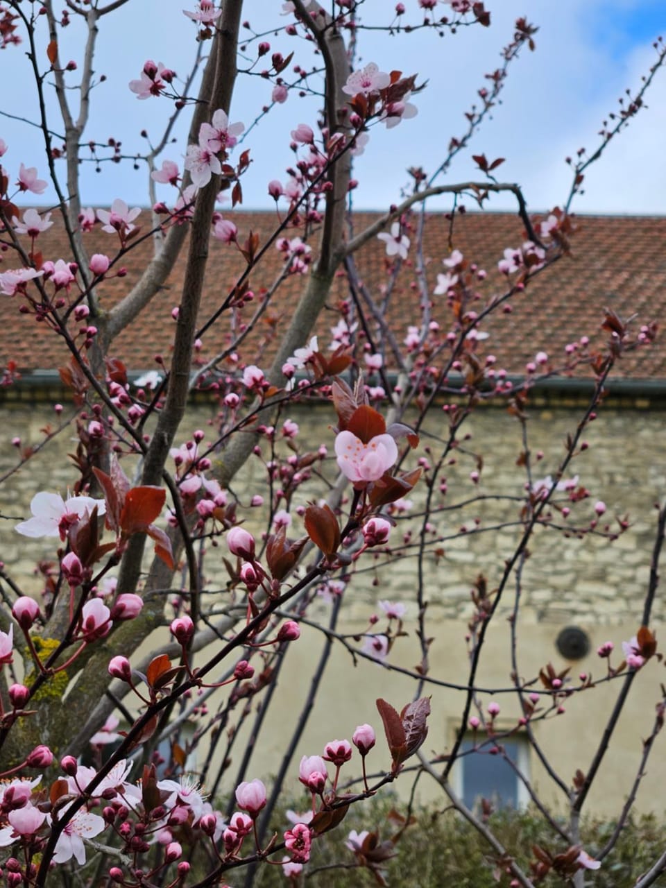 Spring
