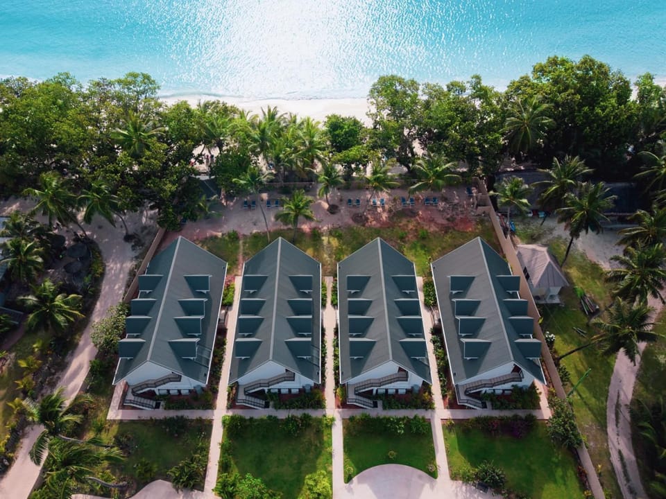 Natural landscape, Bird's eye view, sunbed