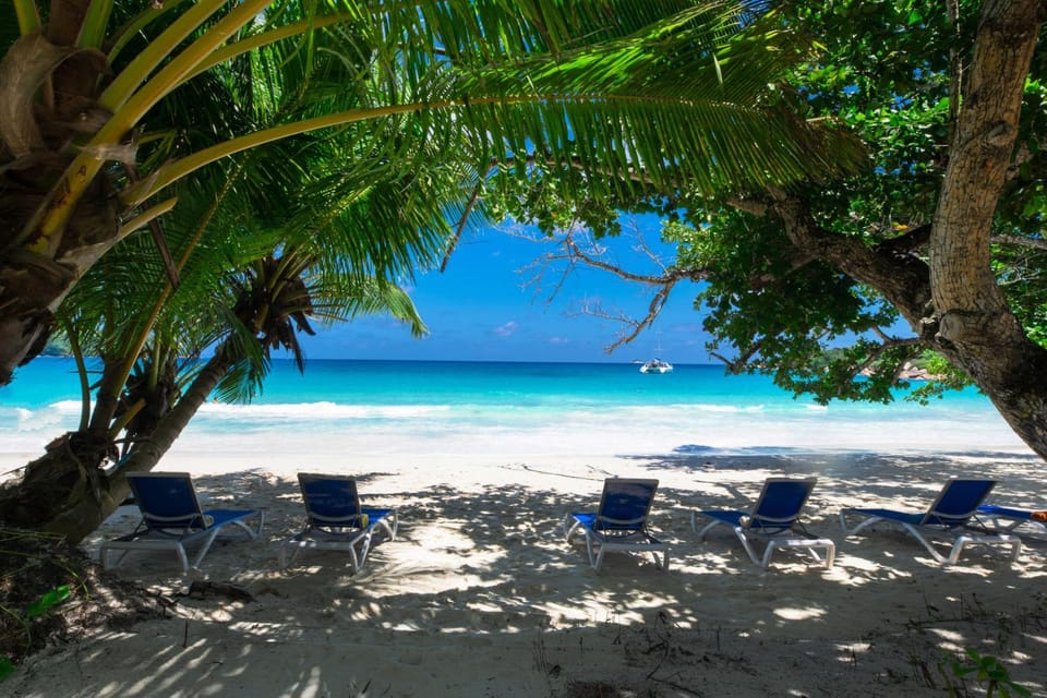 Beach, Sea view, sunbed