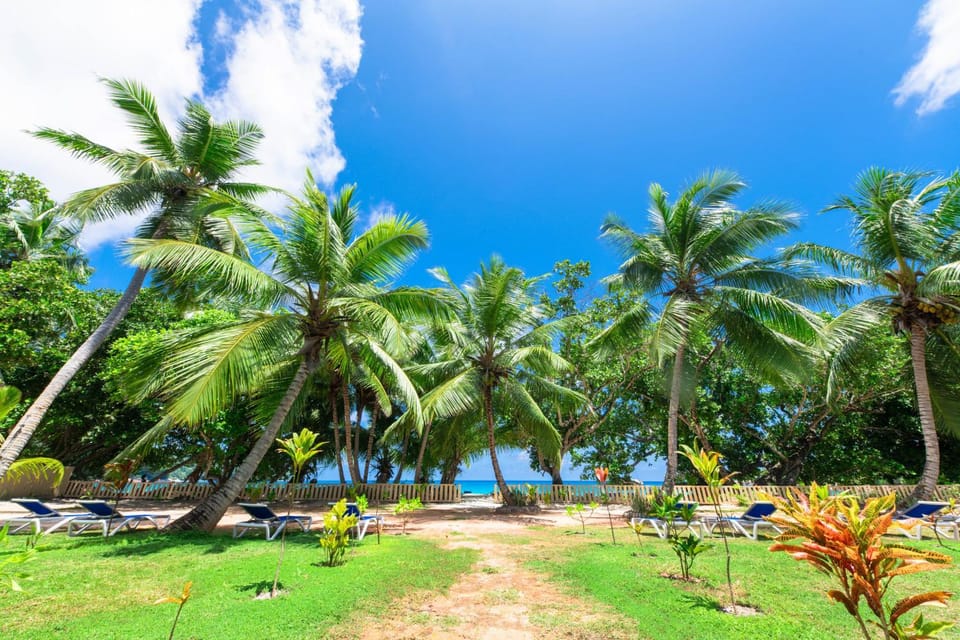 Garden, Garden view, Sea view