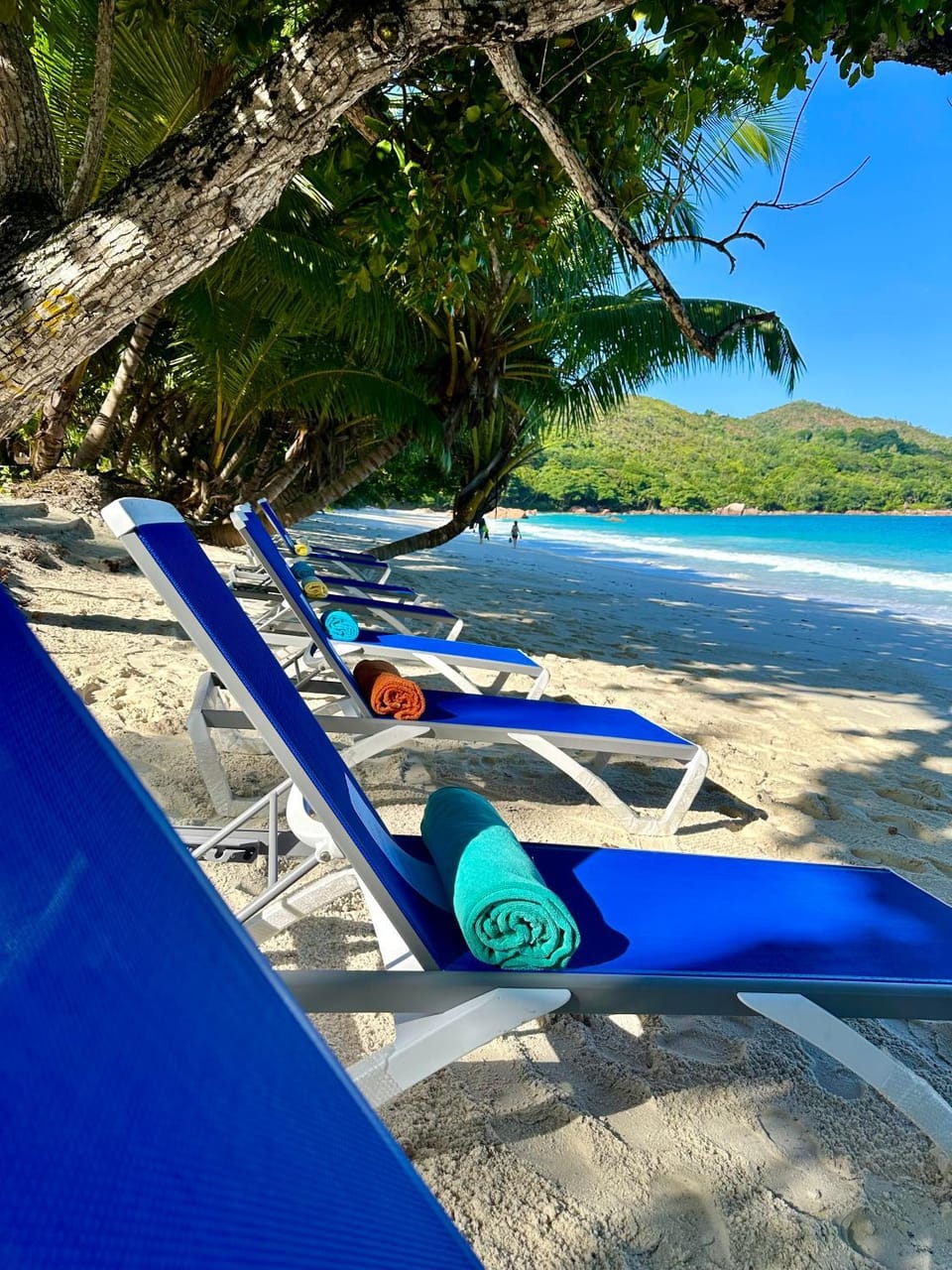 Day, Beach, Sea view, sunbed